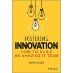 Fostering Innovation: How to Build an Amazing IT Team